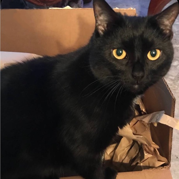 Meet your Posher, Lisa - Picture 3 of 13